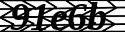 captcha_image