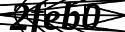 captcha_image