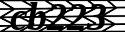 captcha_image